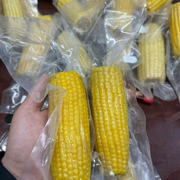 真空糯玉米一件代发口感**好
