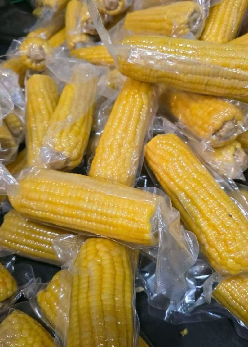 真空糯玉米一件代发口感**好