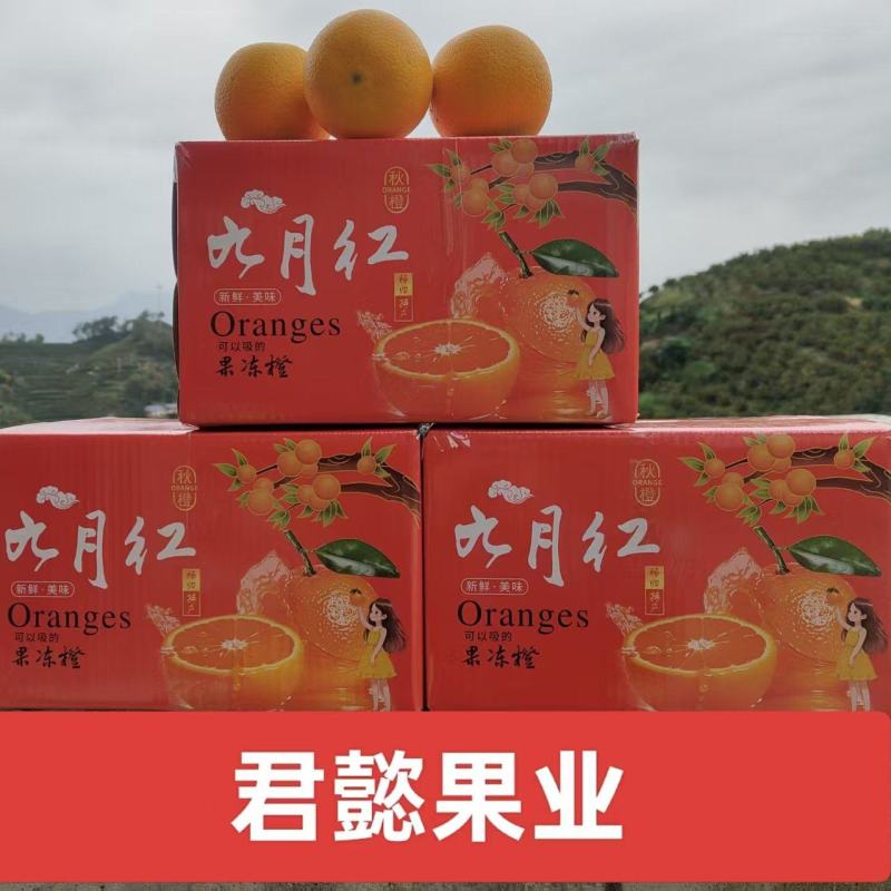 秭归九月红果冻橙