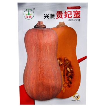 兴蔬贵妃蜜中熟南瓜种子果表光滑果肉深黄色口感粉甜细腻耐贮