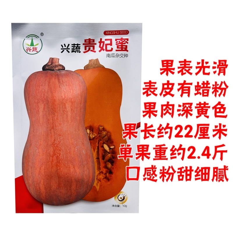 兴蔬贵妃蜜中熟南瓜种子果表光滑果肉深黄色口感粉甜细腻耐贮