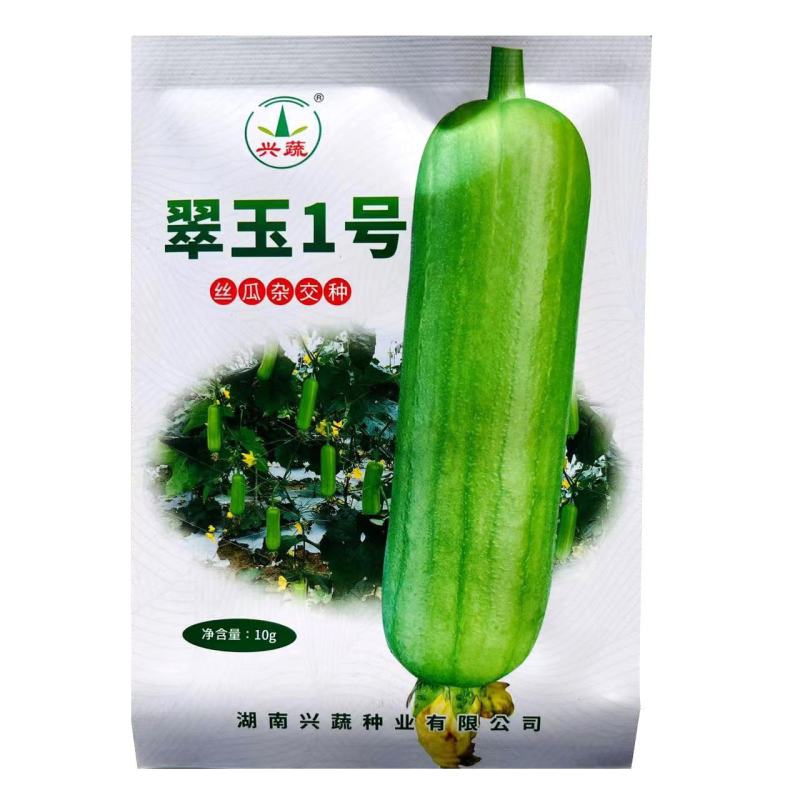 翠玉1号丝瓜种子高产抗病瓜直圆筒白绿色丝瓜种籽汤白色