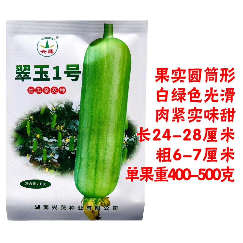 翠玉1号丝瓜种子高产抗病瓜直圆筒白绿色丝瓜种籽汤白色
