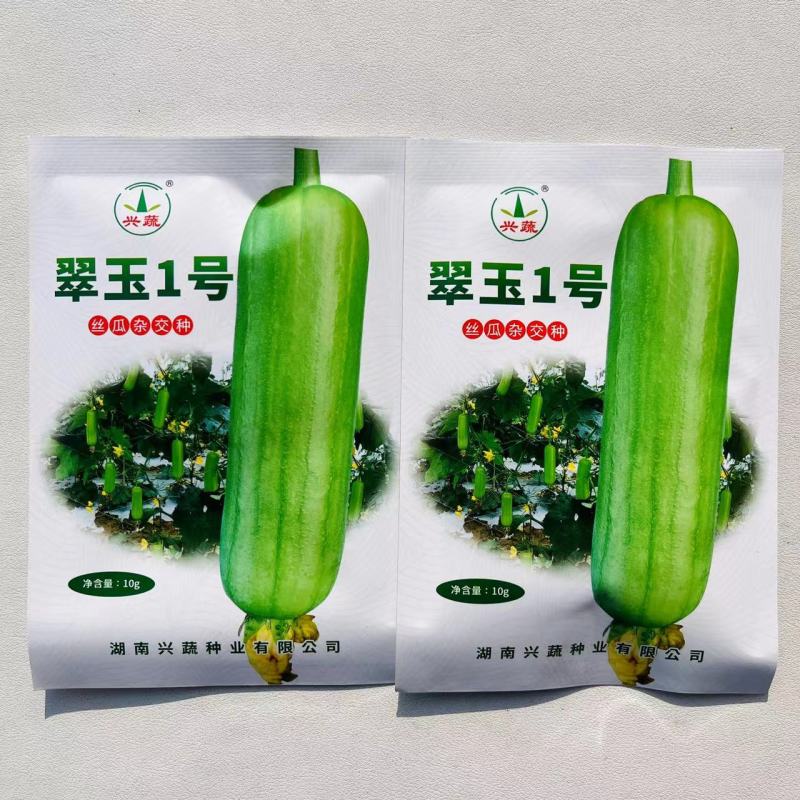 翠玉1号丝瓜种子高产抗病瓜直圆筒白绿色丝瓜种籽汤白色