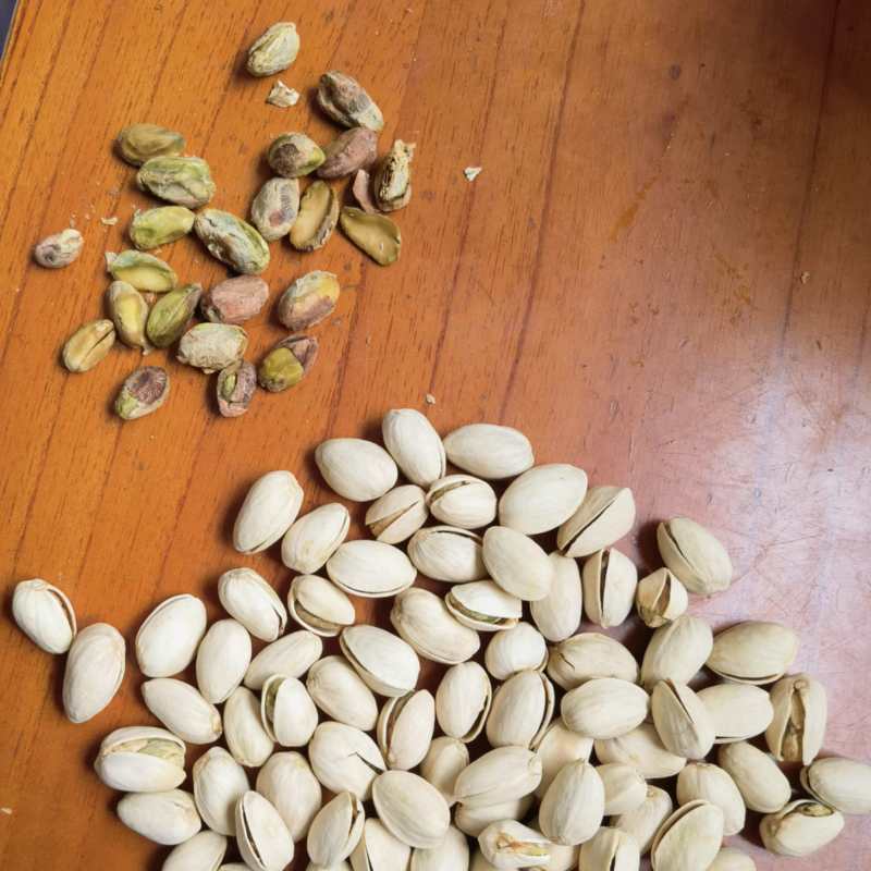 开心果新货