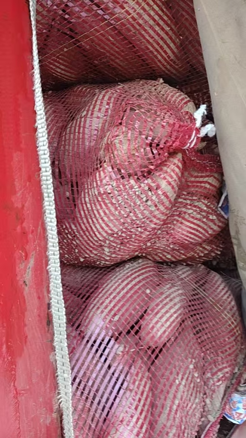 蜜薯无丝无虫洞流蜜甜