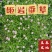 金沙蔓姬岩垂草薄雪万年青多年生地被花镜植物地栽庭院花园绿