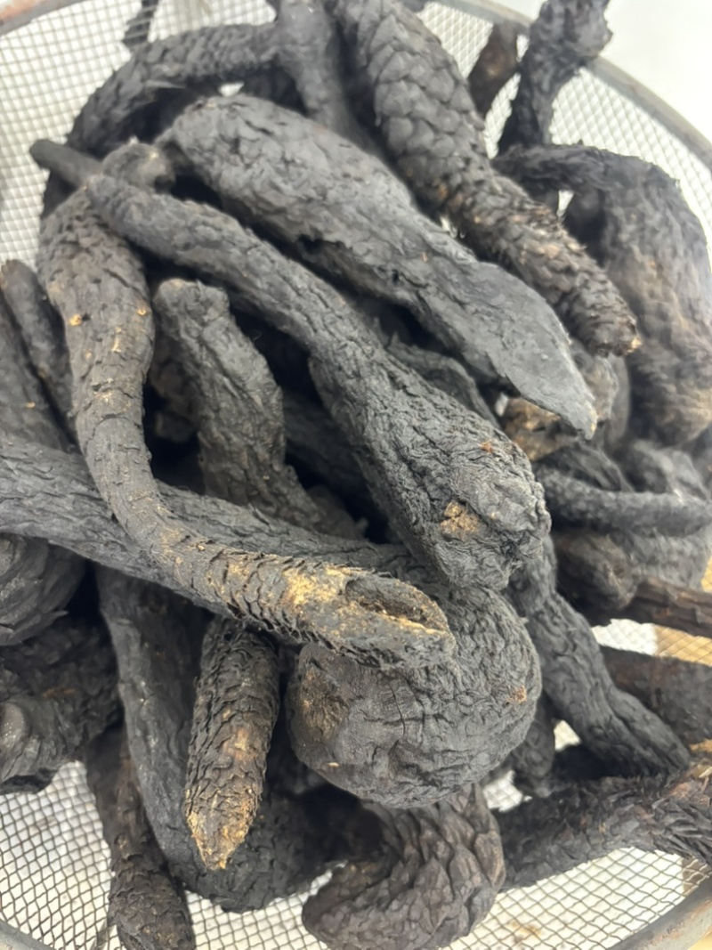新疆肉苁蓉个子正品***原生态无硫熏滋补养生