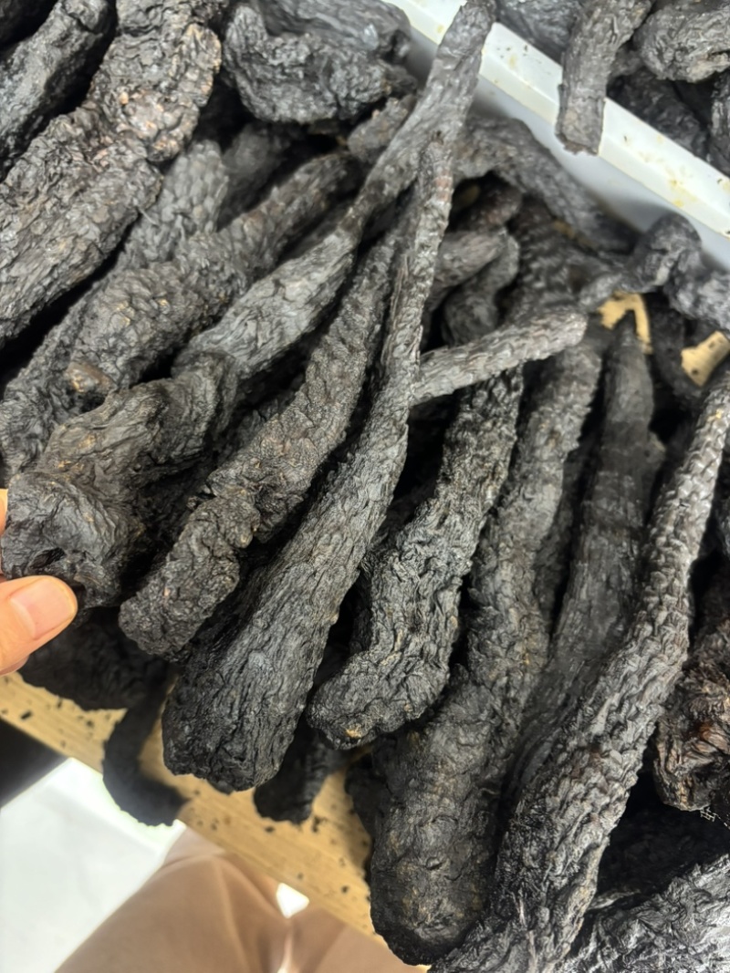 新疆肉苁蓉个子正品***原生态无硫熏滋补养生