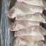 熟猪头肉五香猪头肉厂家直销全网低价欢迎联系品质保证