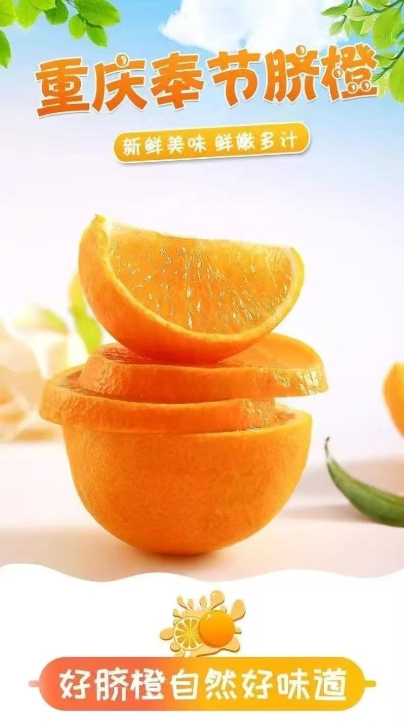 【推荐】重庆奉节脐橙/视频看货/对接电商商超批发市场