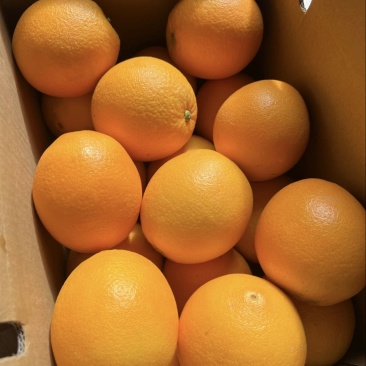 正宗赣南脐橙精品果