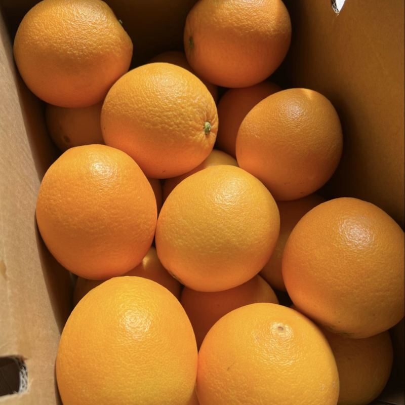 正宗赣南脐橙精品果