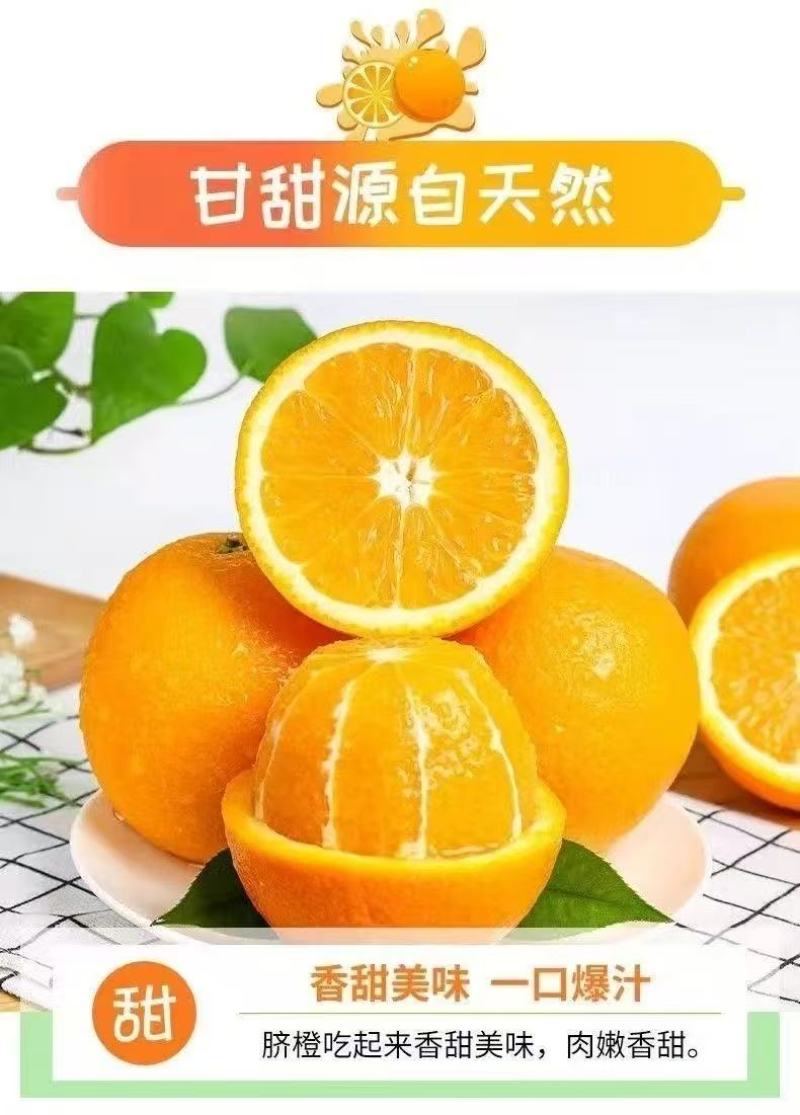 【推荐】重庆奉节脐橙/产地直发/视频看货/品质保证/电询