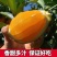 【推荐】重庆奉节脐橙/产地直发/视频看货/品质保证/电询