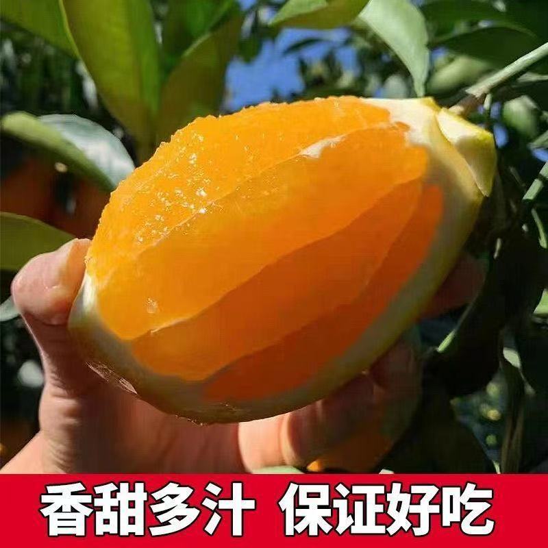【推荐】重庆奉节脐橙/产地直发/视频看货/品质保证/电询