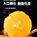 正宗赣南脐橙精品果