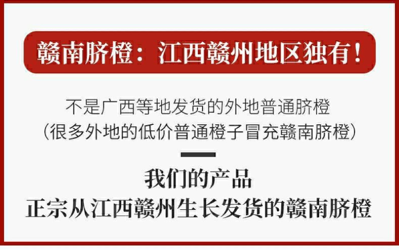 正宗赣南脐橙精品果