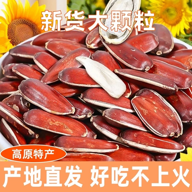 云南香甜红瓜子人工筛选皮质看得见