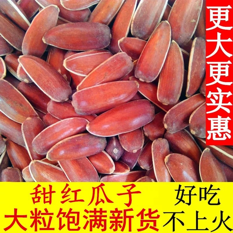 云南香甜红瓜子人工筛选皮质看得见