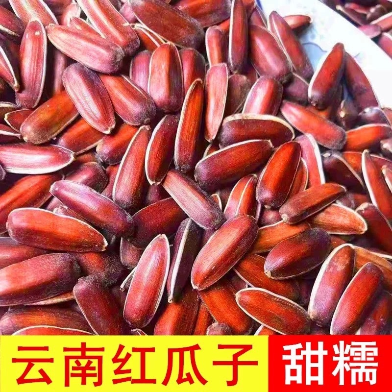 云南香甜红瓜子人工筛选皮质看得见