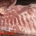 猪排骨寸排冻品猪排骨箱装货源，诚心经营