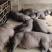 提供优质纯粮食喂养黑土猪.活猪;手机：***********