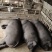 提供优质纯粮食喂养黑土猪.活猪;手机：***********
