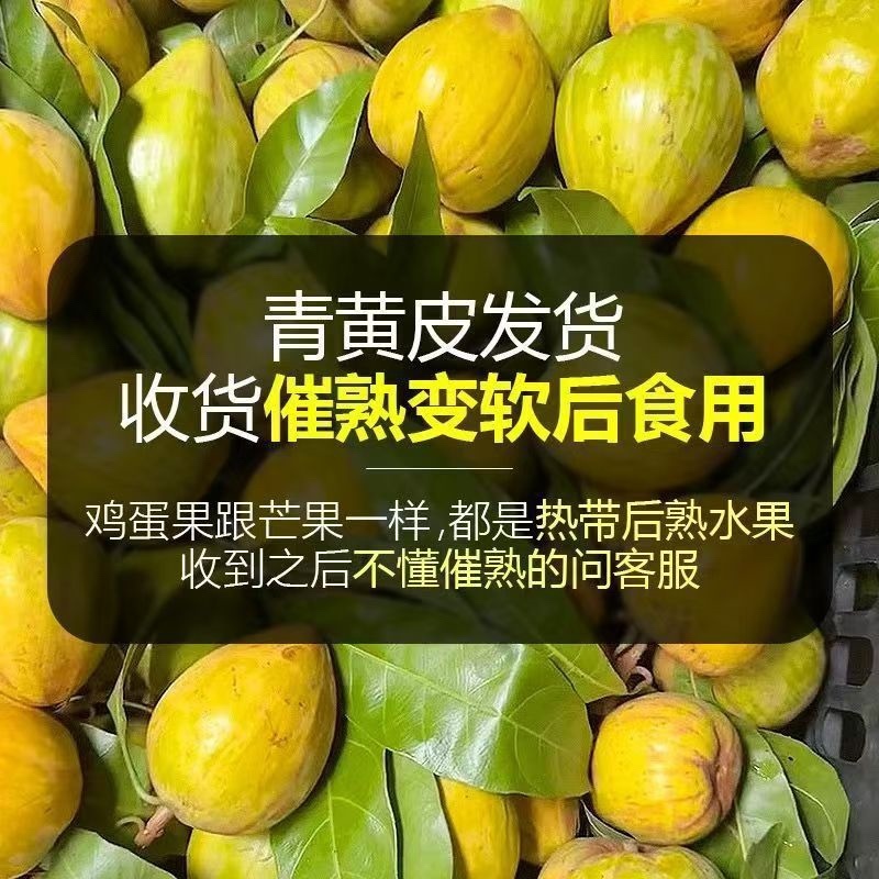蛋黄果，产地直发，货源稳定，果园种植，可视频看货
