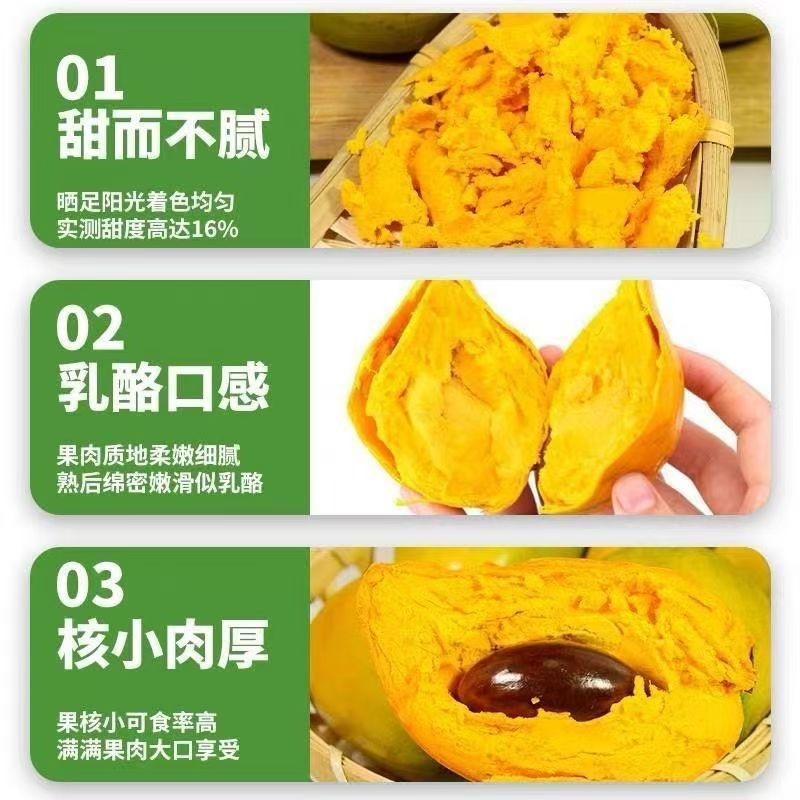 蛋黄果，产地直发，货源稳定，果园种植，可视频看货
