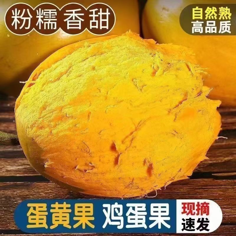 蛋黄果，产地直发，货源稳定，果园种植，可视频看货