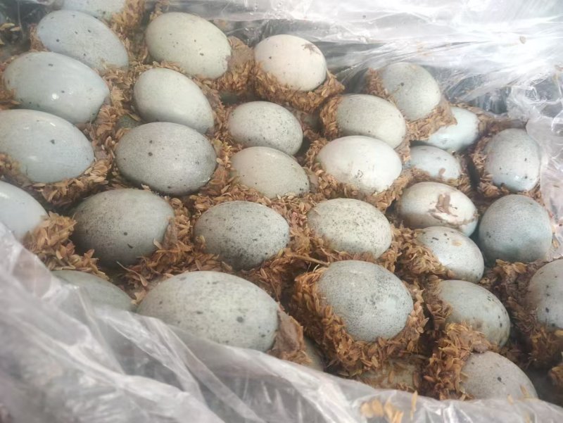 麻壳松花蛋，厂家销售，质量好，价格低，适合旅行社电商赶集