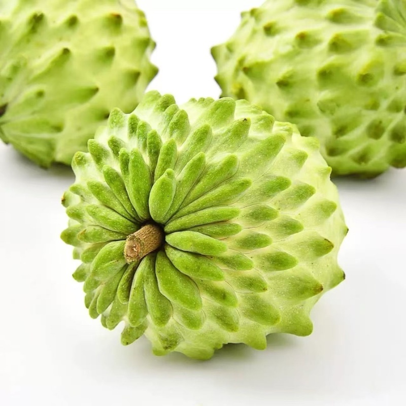 释迦果，产地供应，果园充足，保质保量，可视频看货