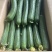 【1000人种草店铺】油皮丝瓜/江苏精品丝瓜/新鲜油皮丝