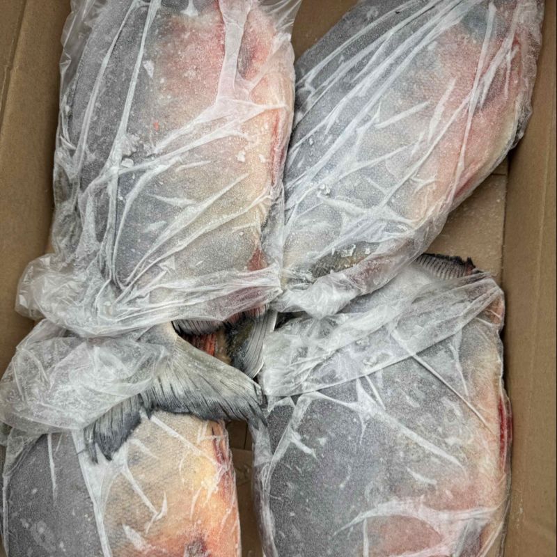 红鲳鱼，鲳鱼