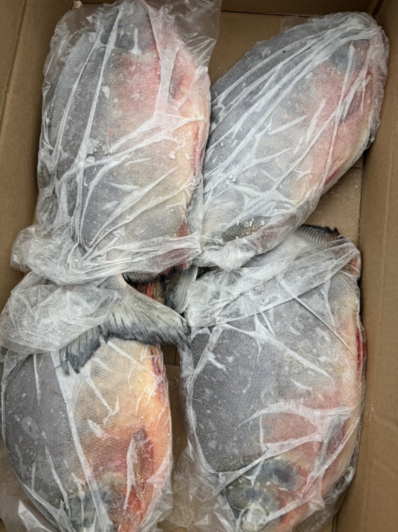 红鲳鱼，鲳鱼