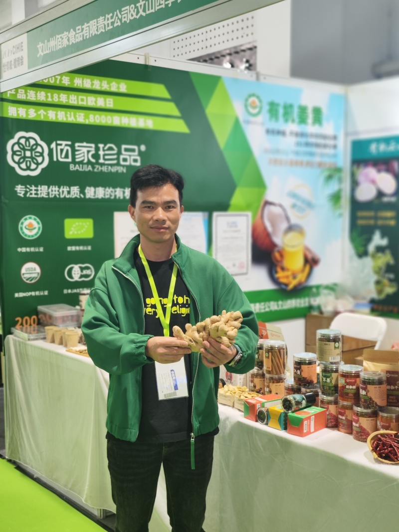 云南小黄姜鲜姜有机二号姜