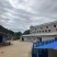 云南小黄姜鲜姜有机二号姜