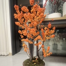 北美冬青冬黄年宵花发财果