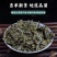 白背叶中药材冷背中药材正品中药材色泽自然干净