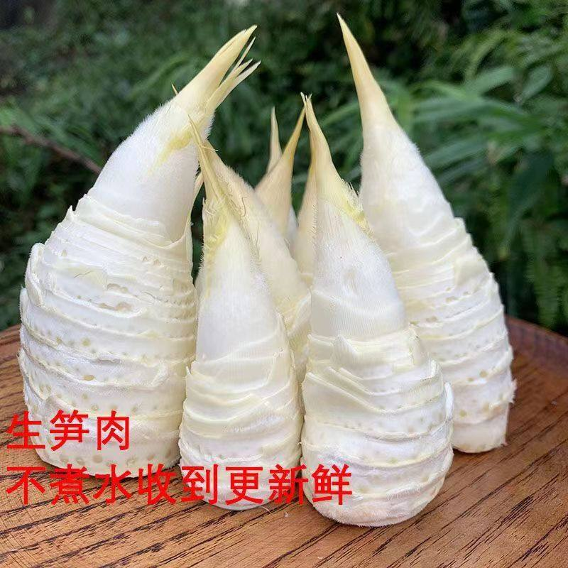 新鲜黄泥冬笋现挖现发包邮产地直发坏包赔一件代发
