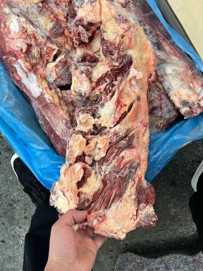70厂牛胸骨