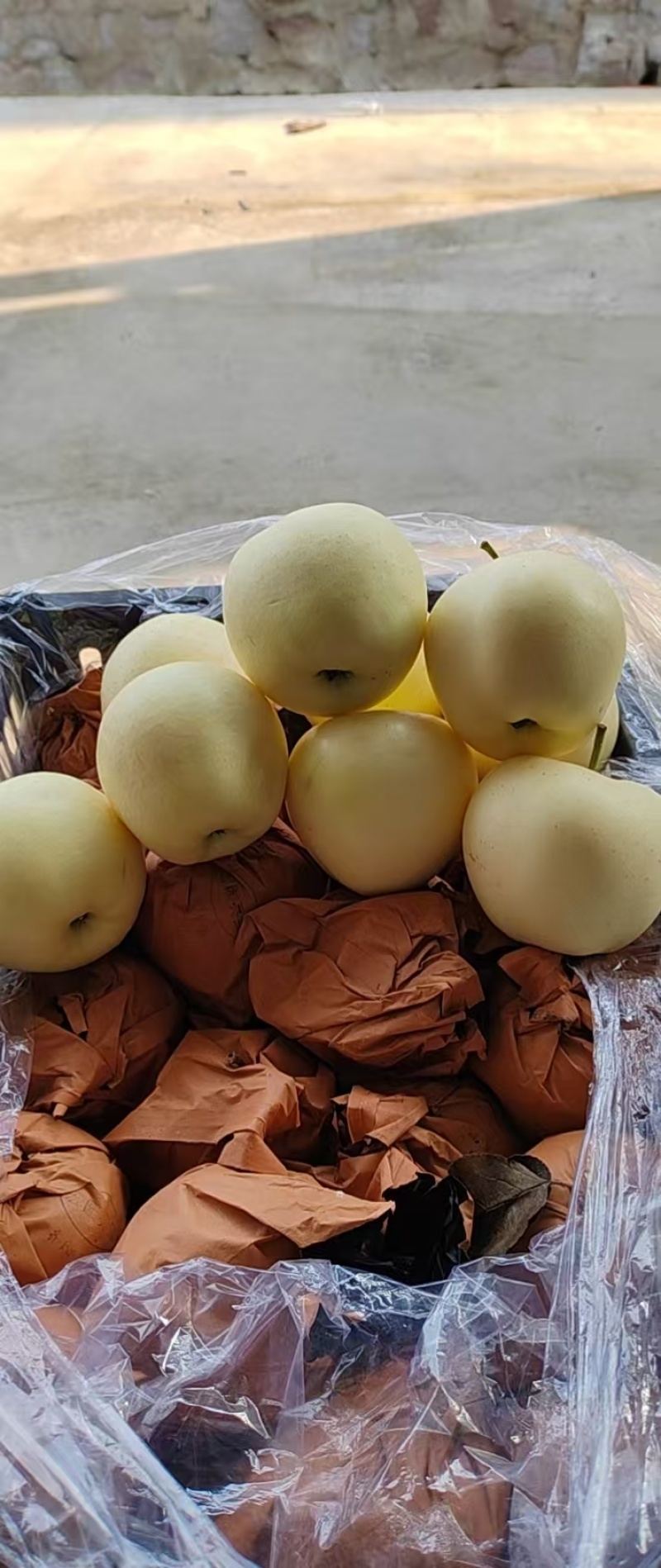 精品黄元帅苹果干净大个白一手货源，诚信经营，量大从优
