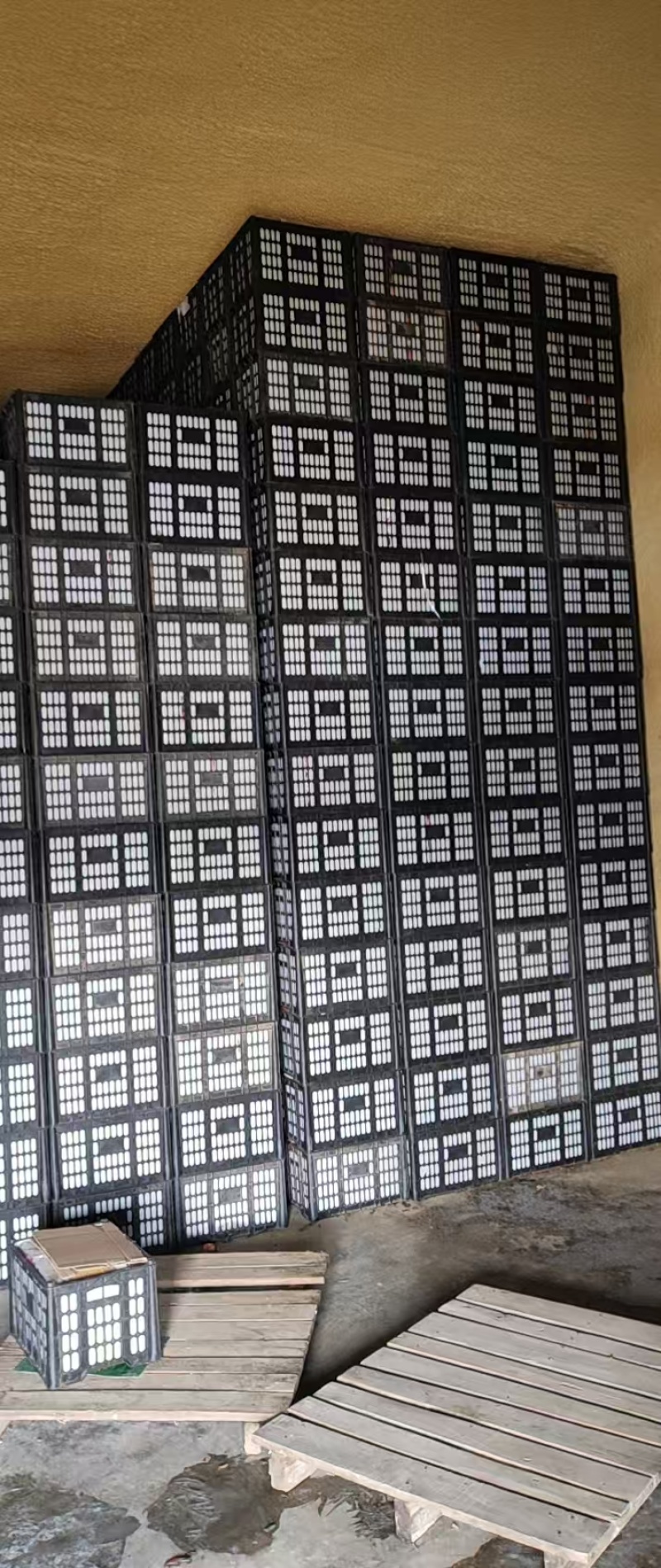 精品寒富苹果，全国发货，保质保量，可对接各大批发市场