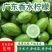 广东香水柠檬，产地一手货源，量大优惠，对接全国市场电商