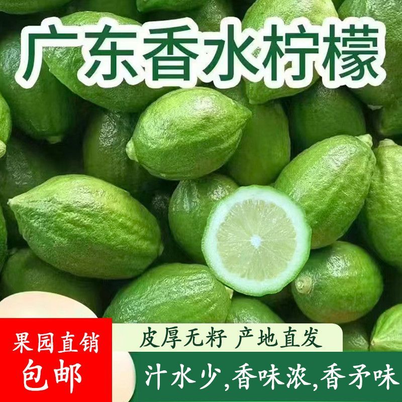 广东香水柠檬，产地一手货源，量大优惠，对接全国市场电商