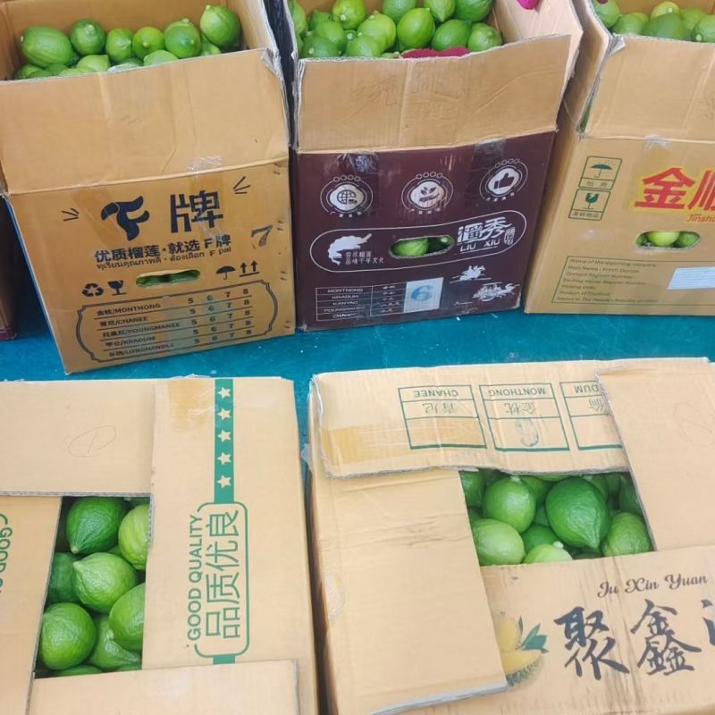 广东香水柠檬，产地一手货源，量大优惠，对接全国市场电商
