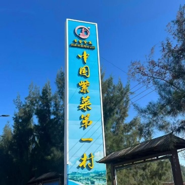 东山头水紫菜