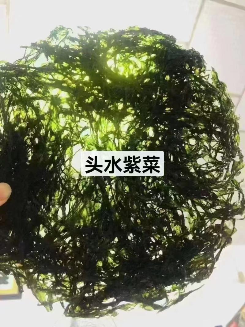 东山头水紫菜