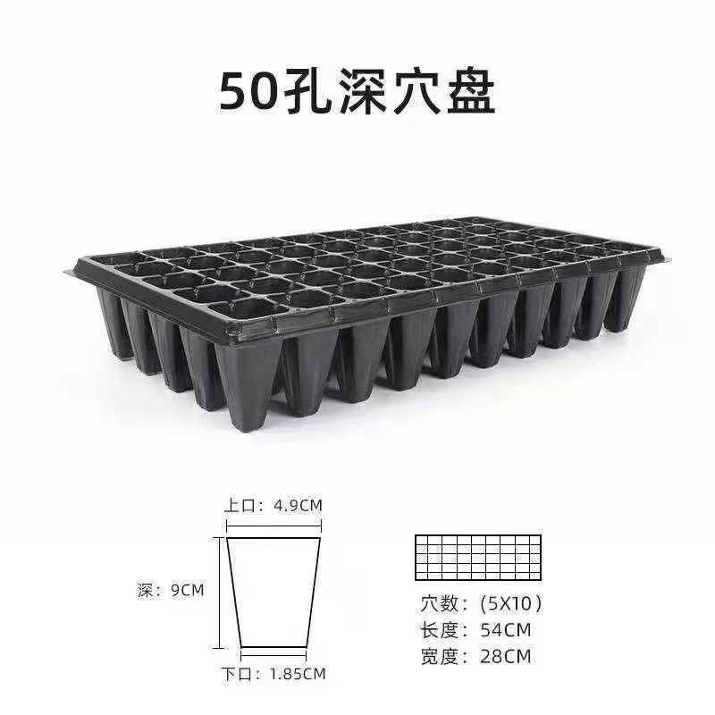 加厚加深高脚林木育苗盘草莓百香果扦插沉香药材种姜专用盆穴